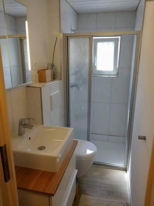 Bijou 1 Huebsche 1 Zimmer Wohnung Herisau Bagian luar foto